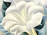 Georgia O'Keeffe White Flower painting